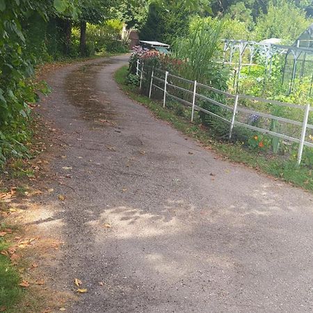 Logement Independant Attenant A Une Maison Dans Grand Jardin Retournac Exterior foto